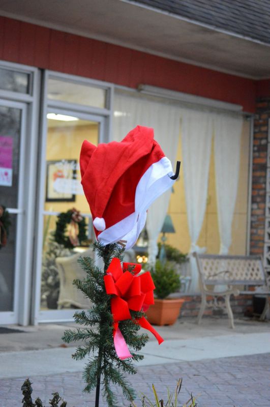 Christmas in Oglethorpe